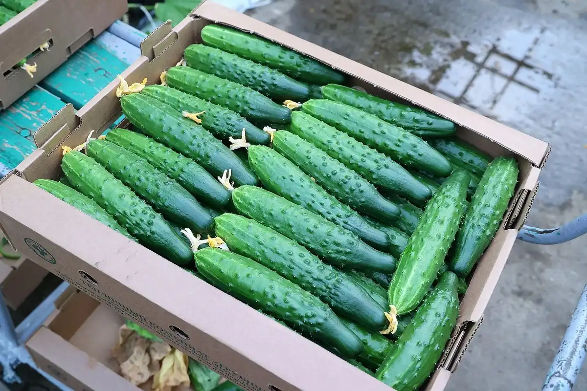 2-8.03.2026 Лента новостей