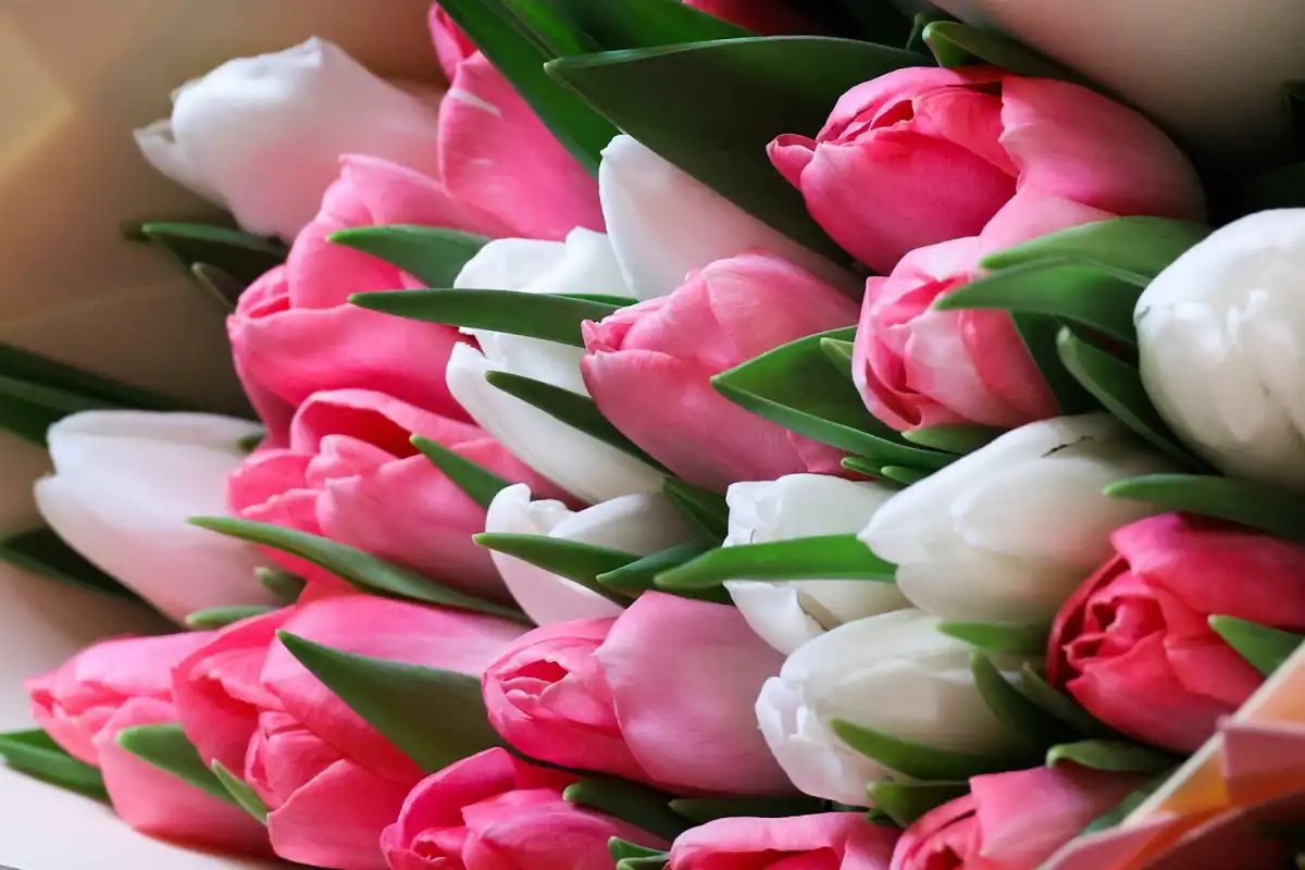 2-8.03.2026 Лента новостей