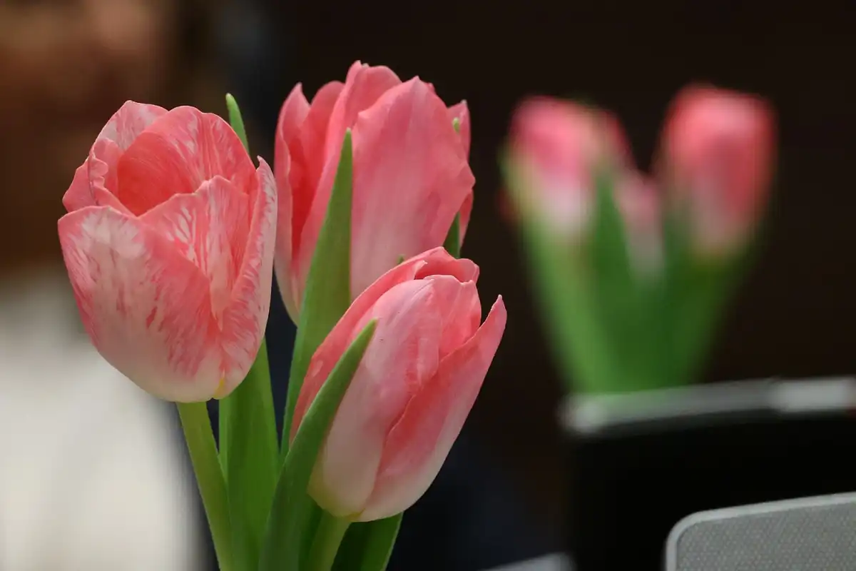 2-8.03.2026 Лента новостей