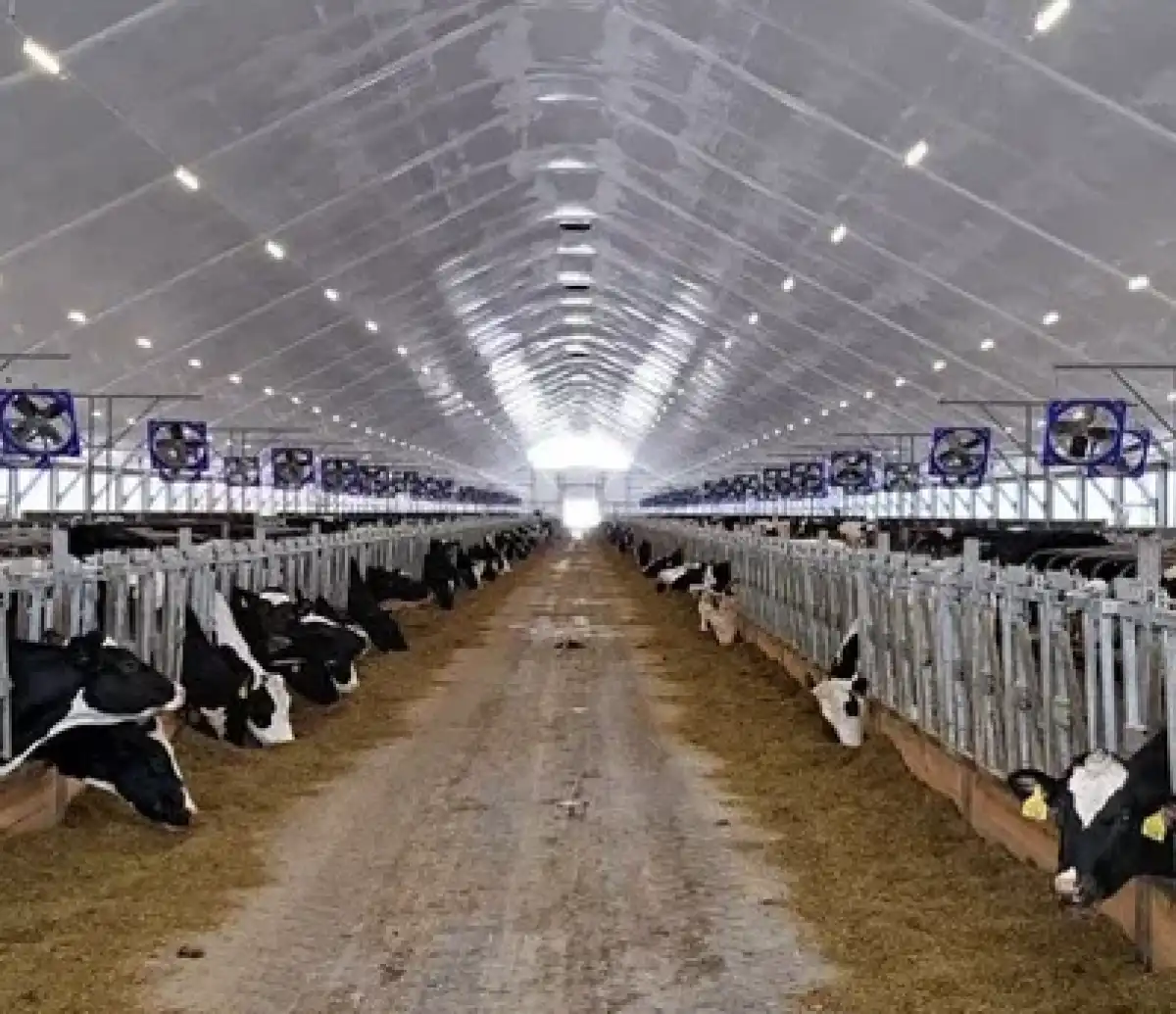 10-15.03.2026 Лента новостей