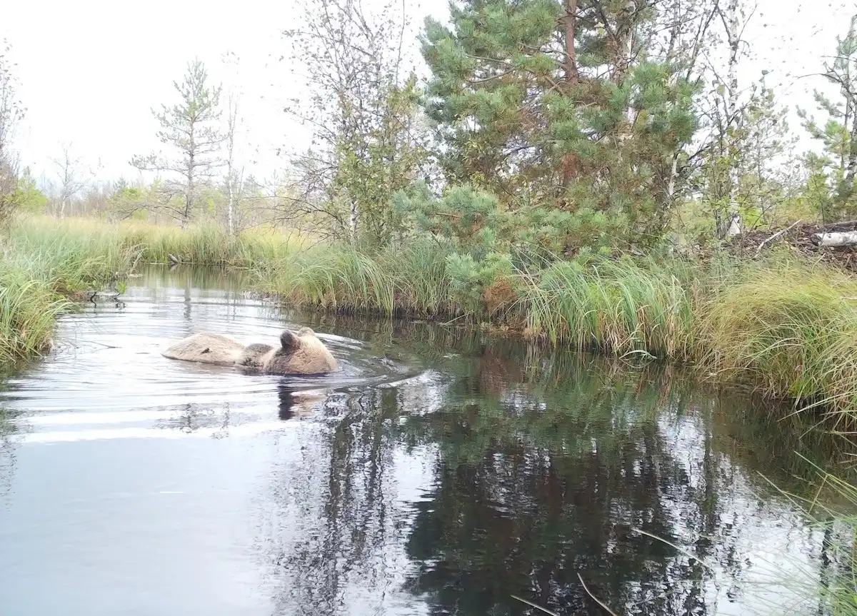 16-22.03.2026 Лента новостей
