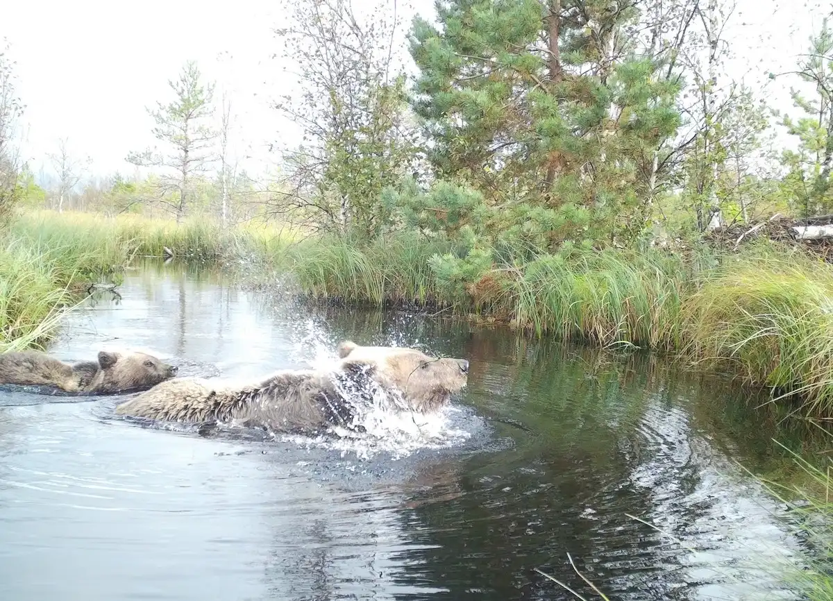 16-22.03.2026 Лента новостей
