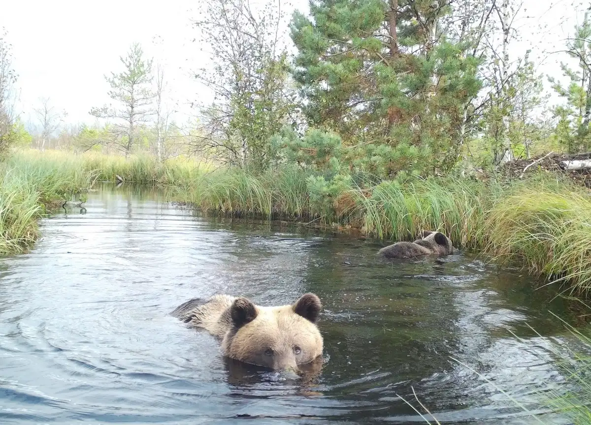 16-22.03.2026 Лента новостей