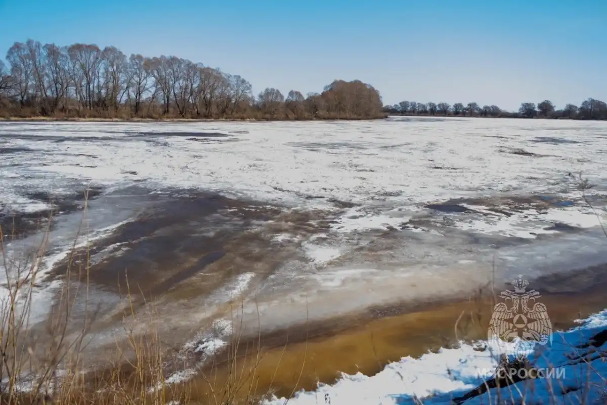 16-22.03.2026 Лента новостей