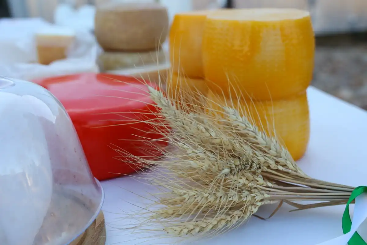 16-22.03.2026 Лента новостей