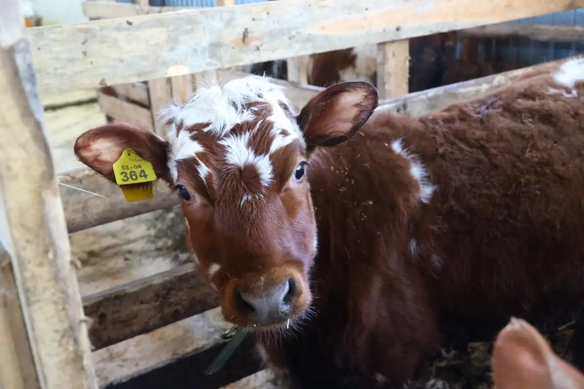 16-22.03.2026 Лента новостей