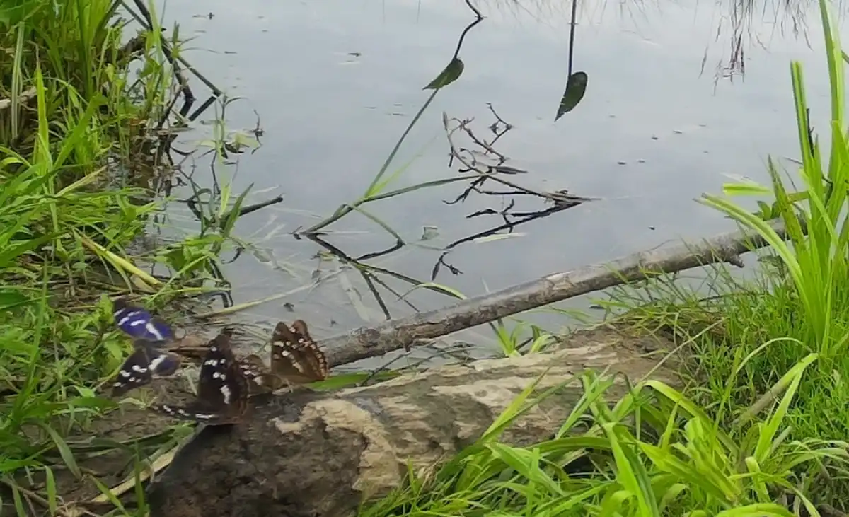 23-29.03.2026 Лента новостей