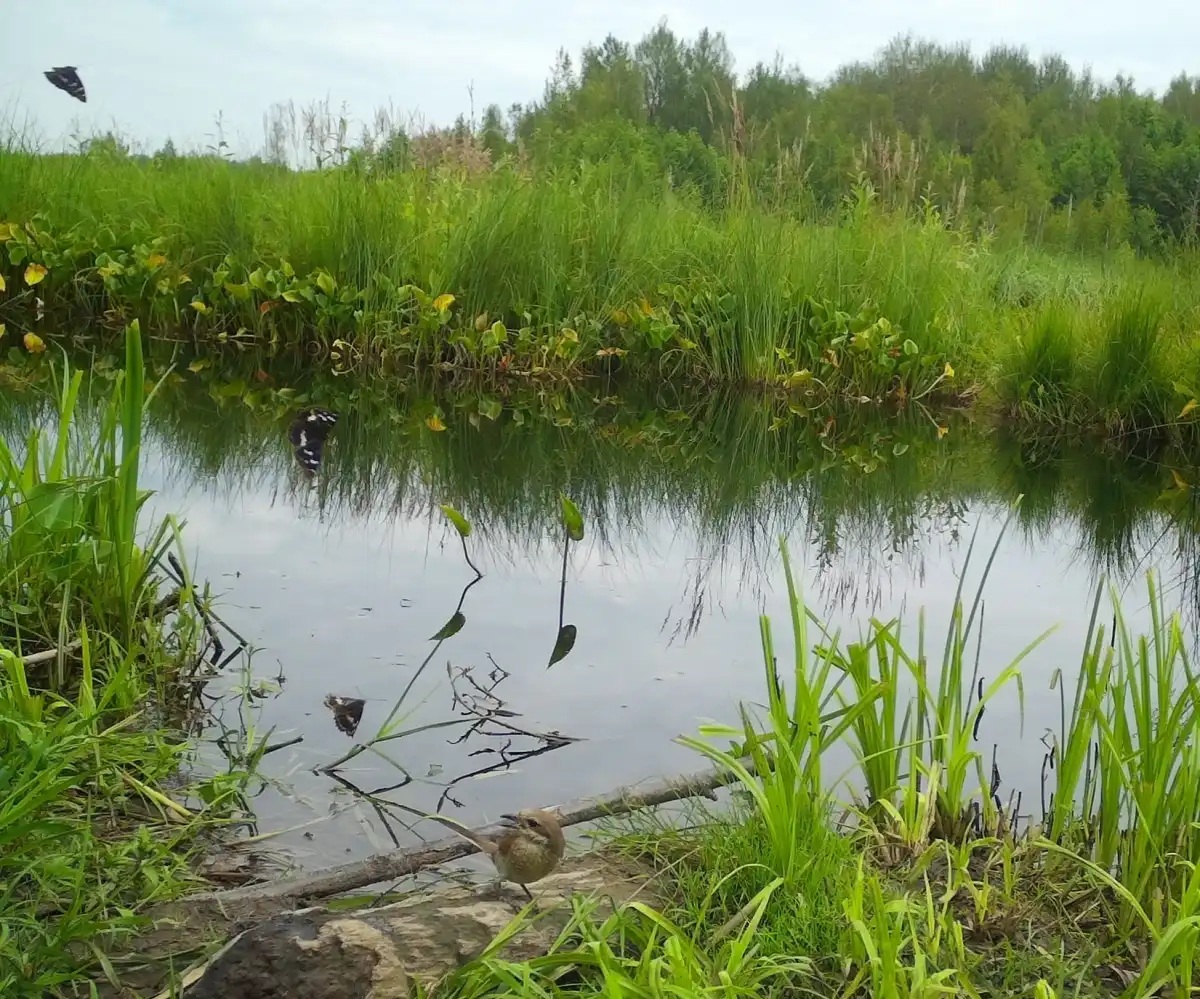 23-29.03.2026 Лента новостей