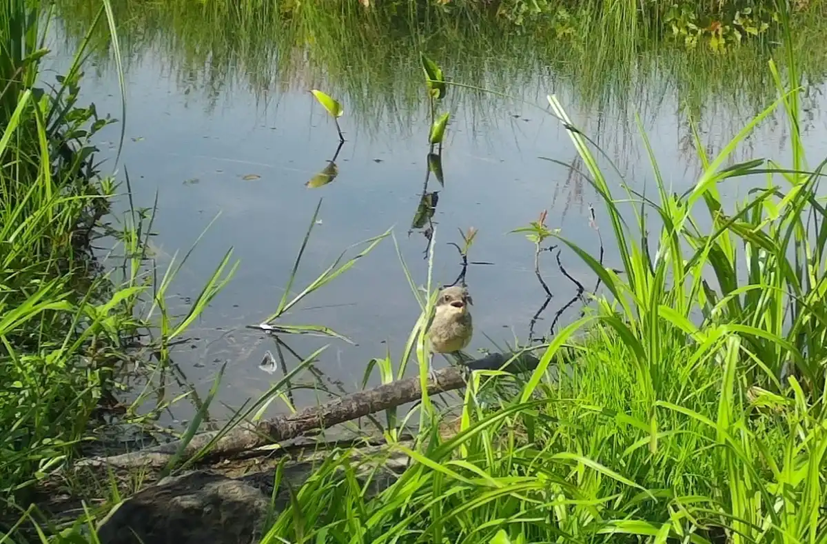 23-29.03.2026 Лента новостей