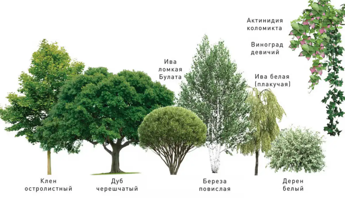 30.03-5.04.2026 Лента новостей