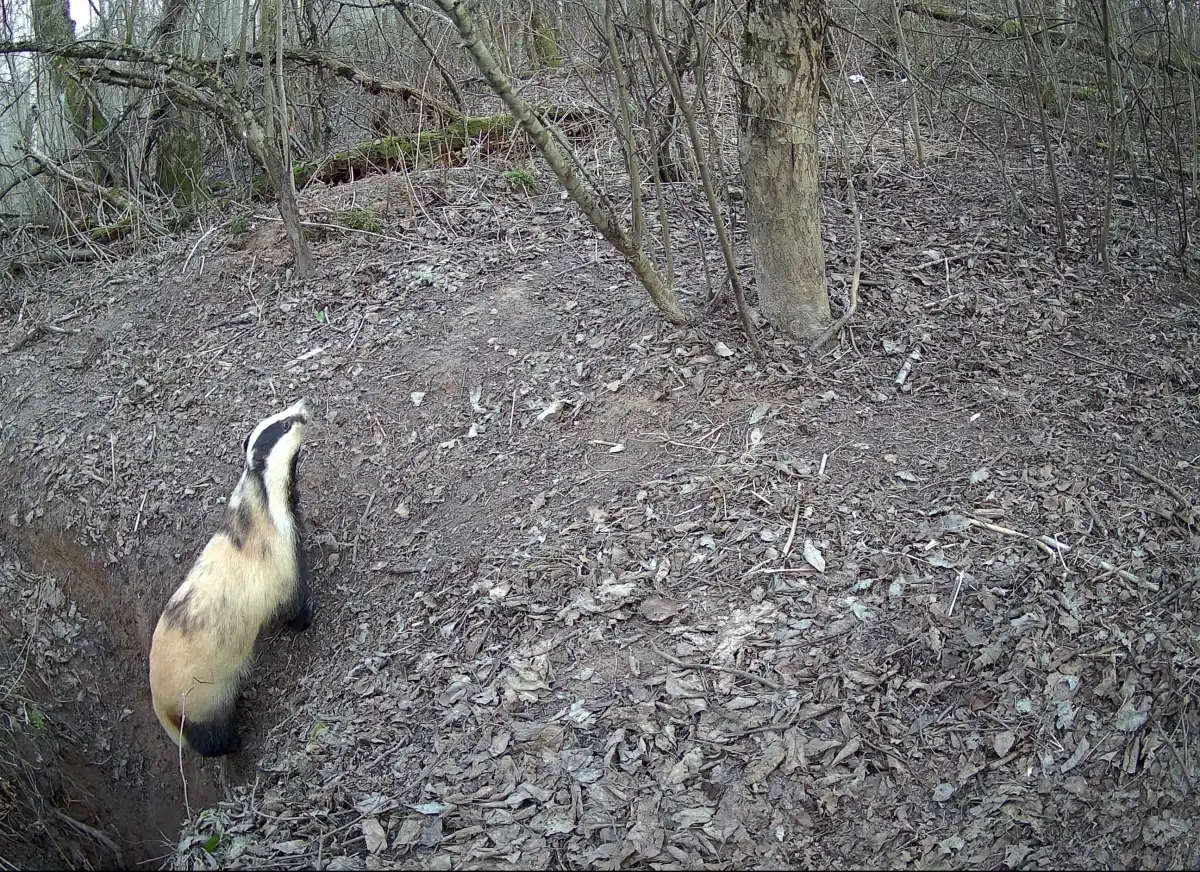 30.03-5.04.2026 Лента новостей