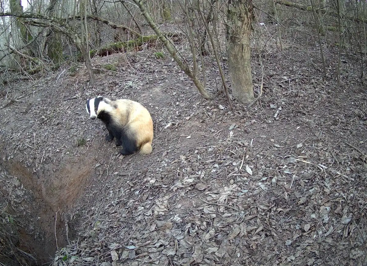 30.03-5.04.2026 Лента новостей