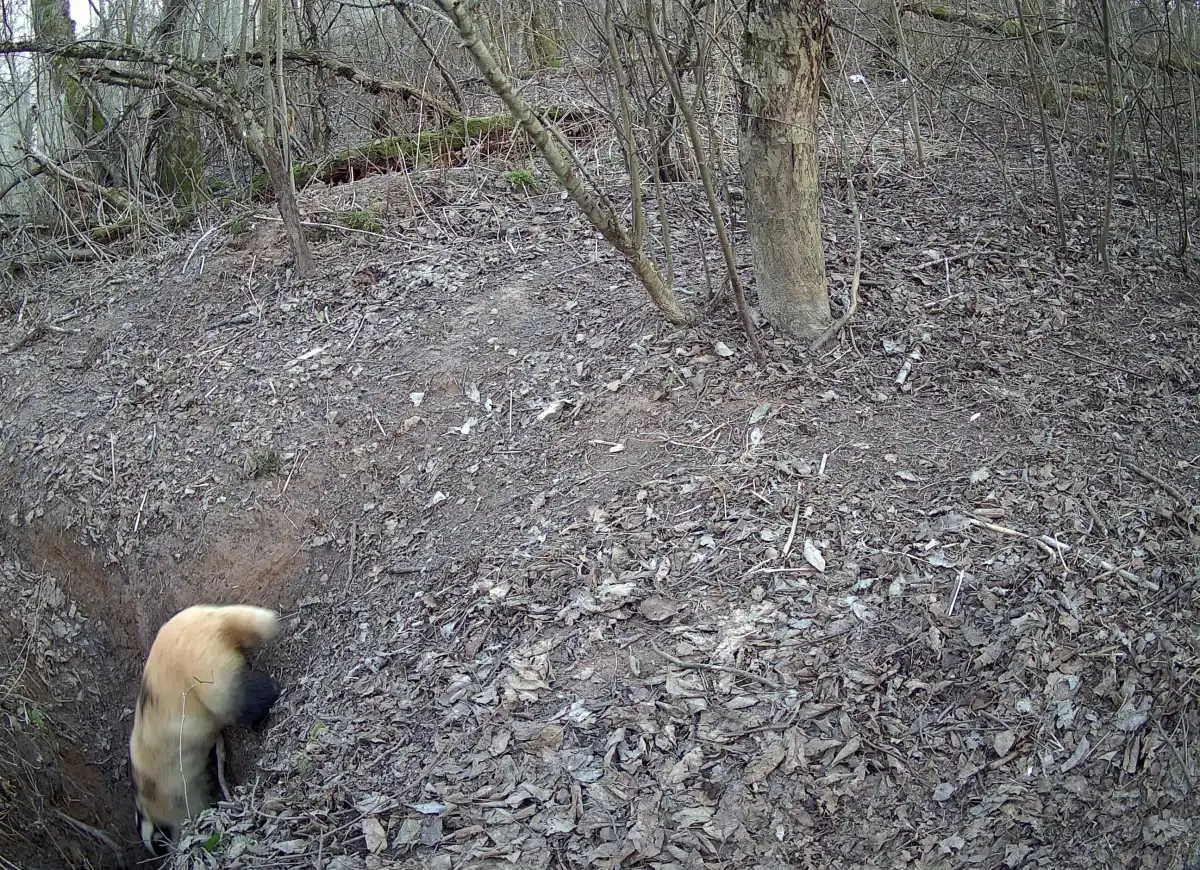 30.03-5.04.2026 Лента новостей