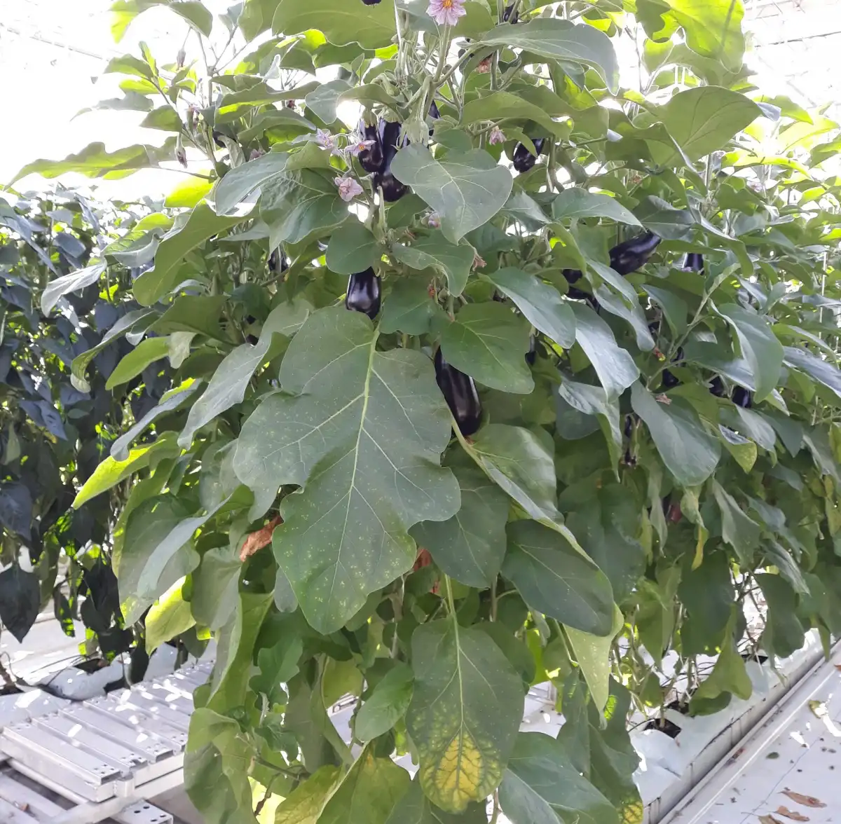 30.03-5.04.2026 Лента новостей