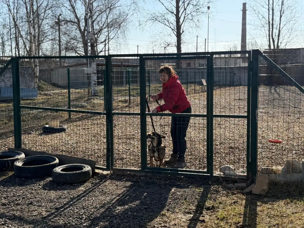 30.03-5.04.2026 Лента новостей