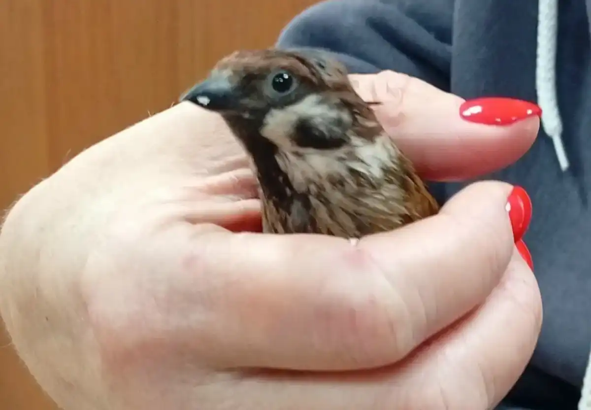 30.03-5.04.2026 Лента новостей