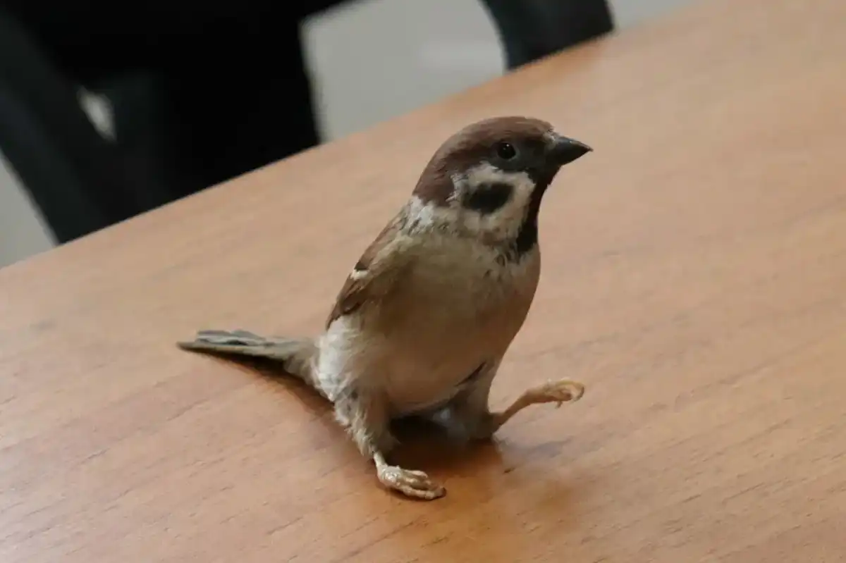 30.03-5.04.2026 Лента новостей