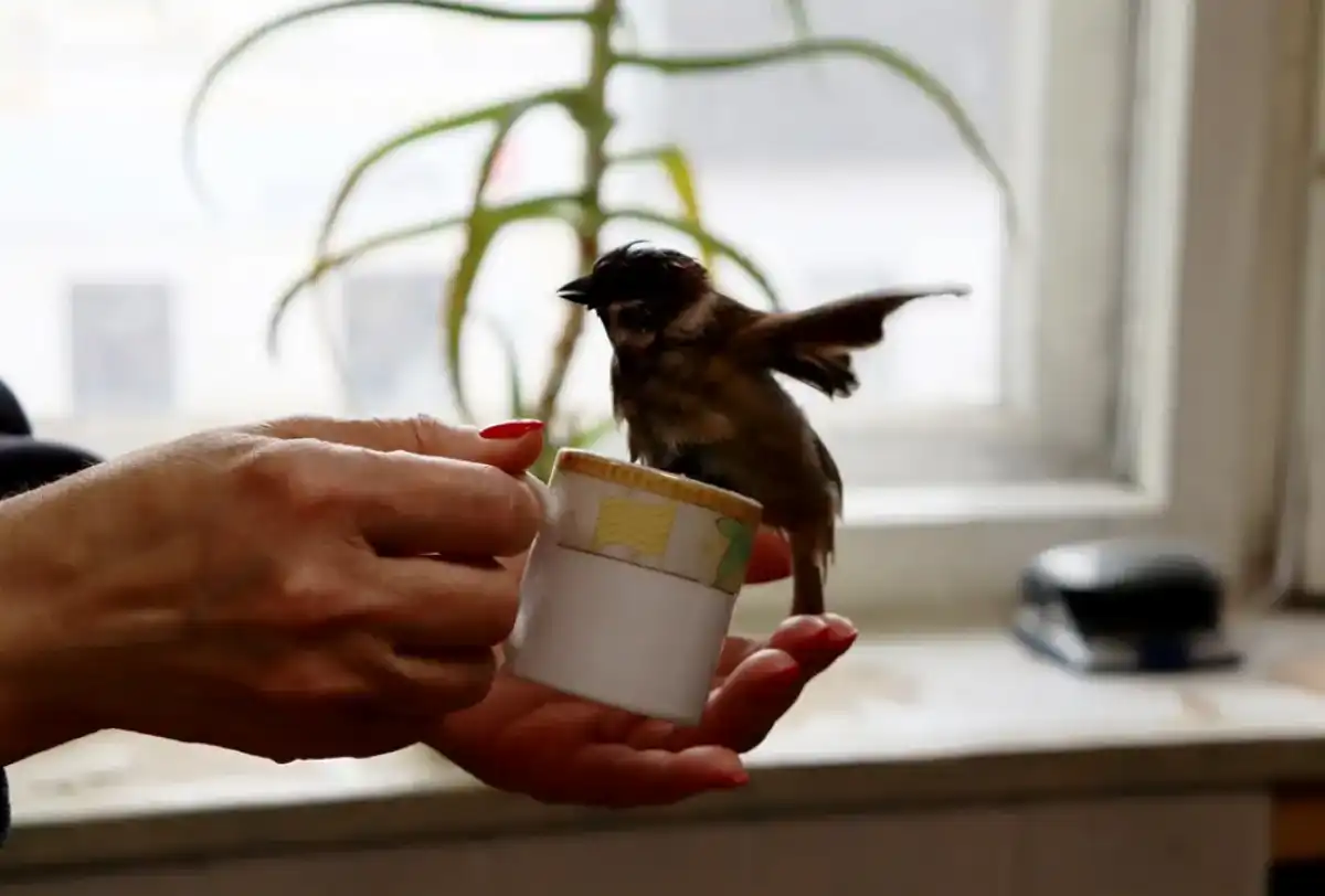 30.03-5.04.2026 Лента новостей