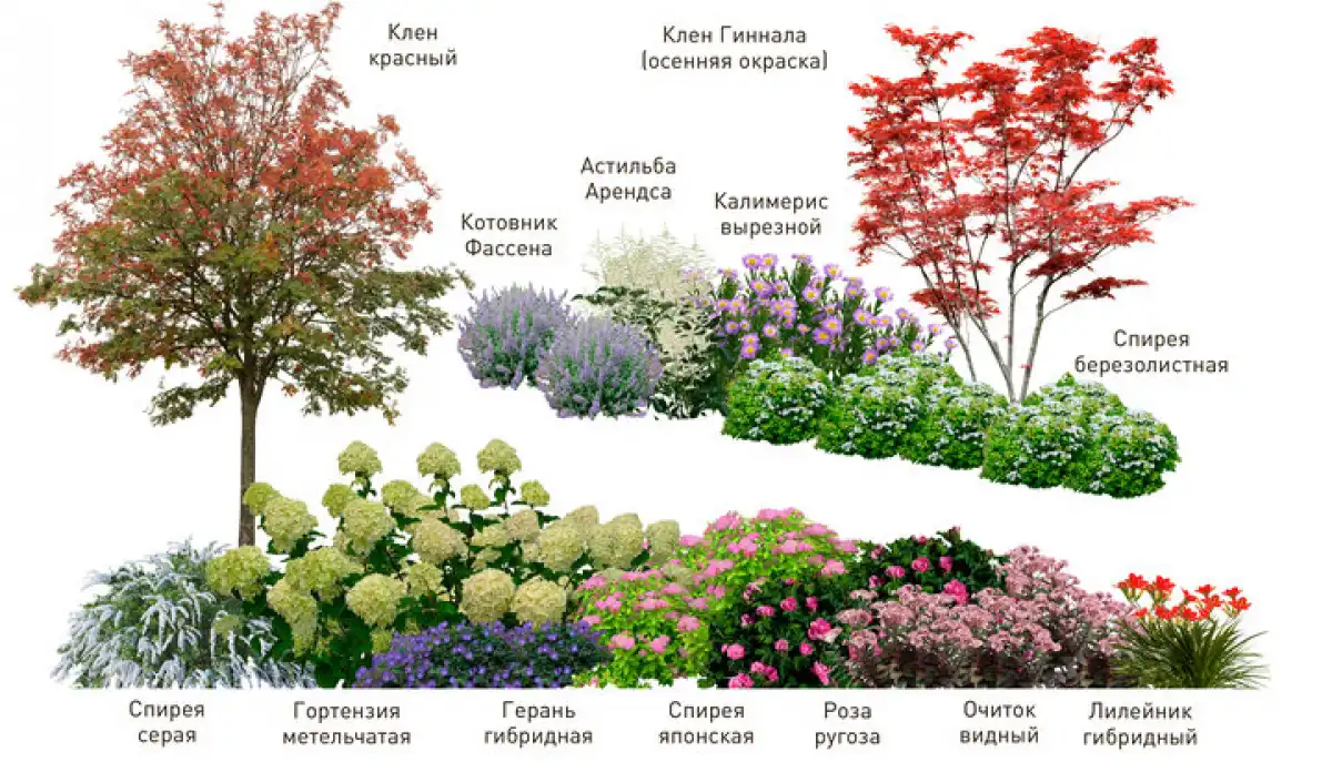 6-12.04.2026 Лента новостей