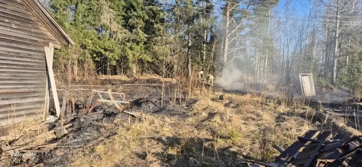 6-12.04.2026 Лента новостей