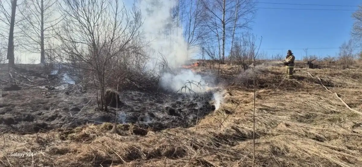 6-12.04.2026 Лента новостей