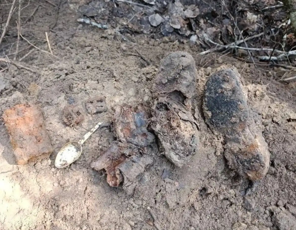 20-26.04.2026 Лента новостей