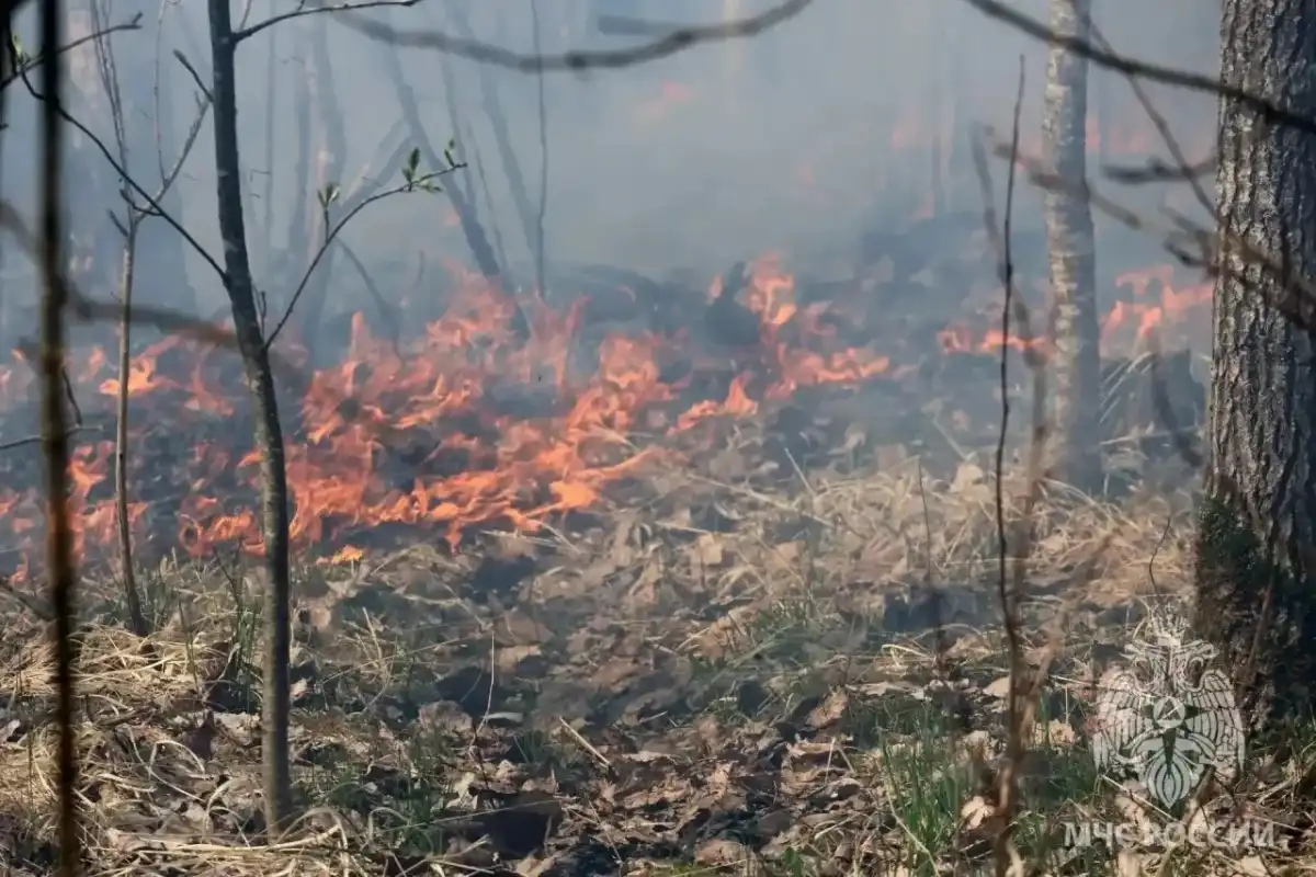 20-26.04.2026 Лента новостей