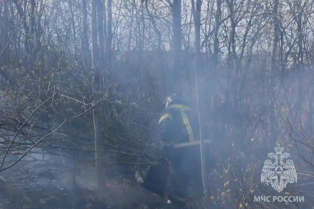 20-26.04.2026 Лента новостей