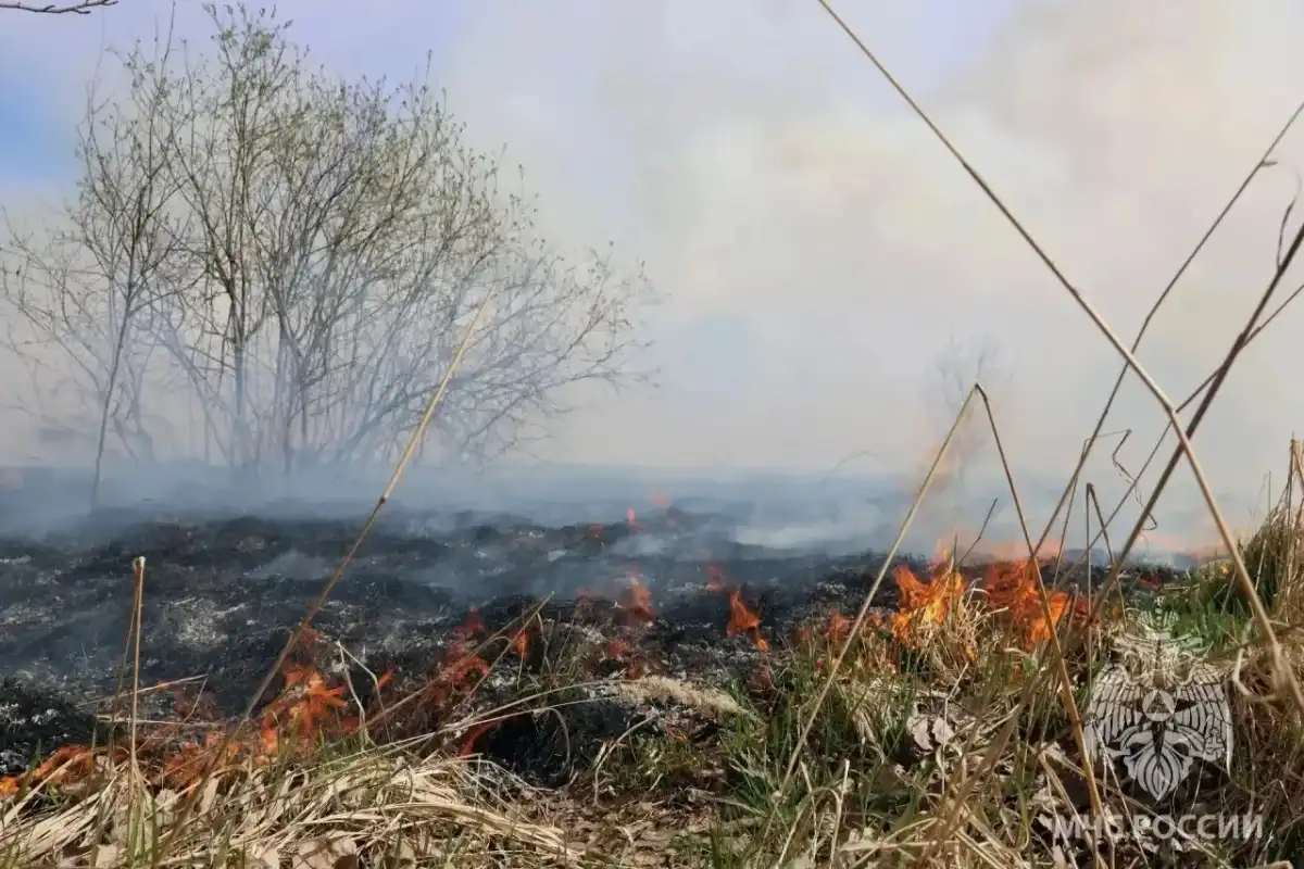 20-26.04.2026 Лента новостей