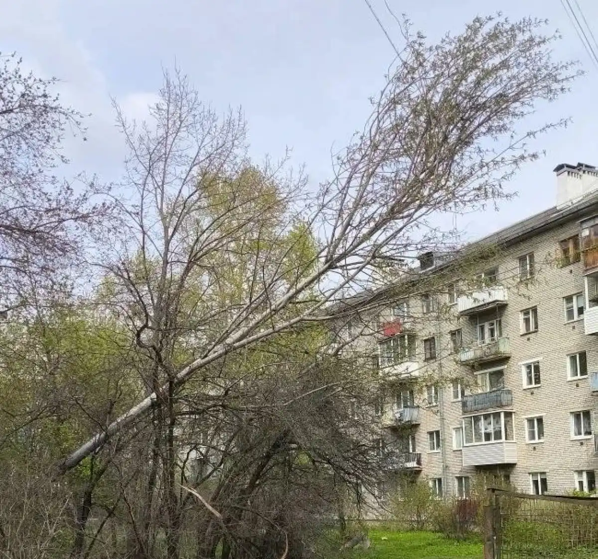 27.04-3.05.2026 Лента новостей