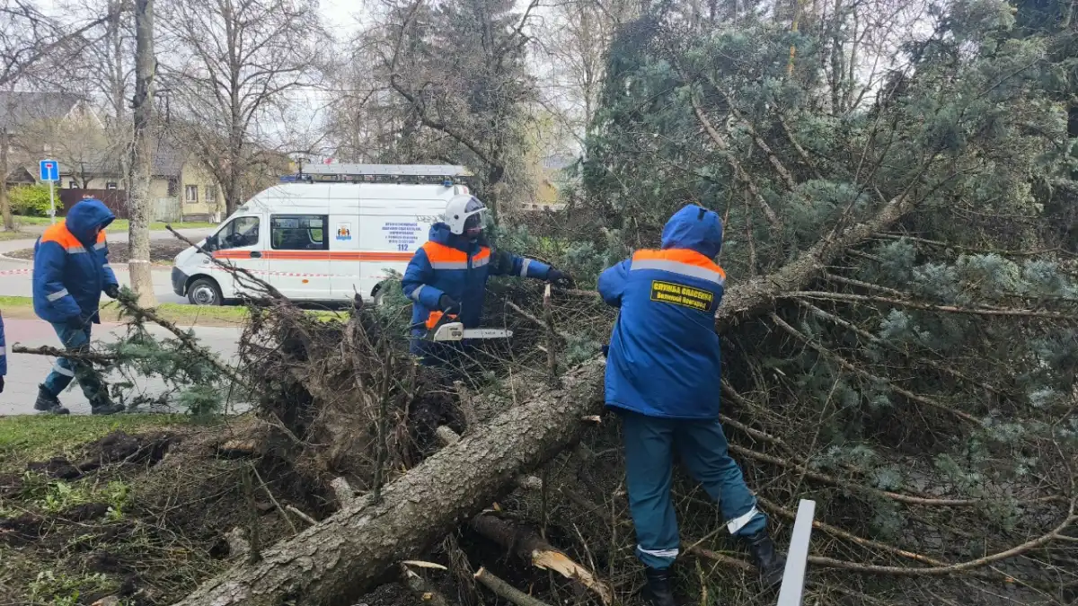 27.04-3.05.2026 Лента новостей