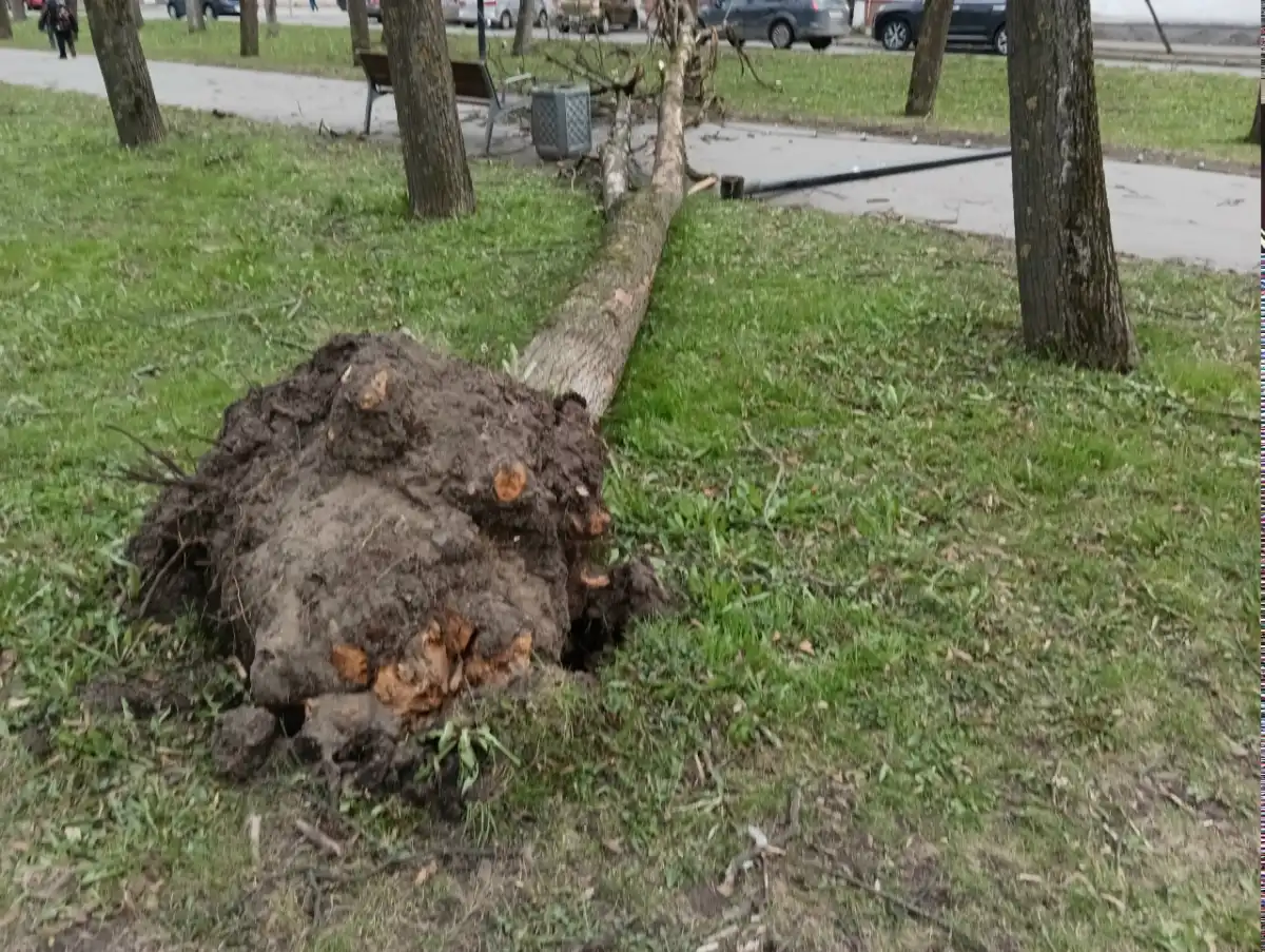 27.04-3.05.2026 Лента новостей