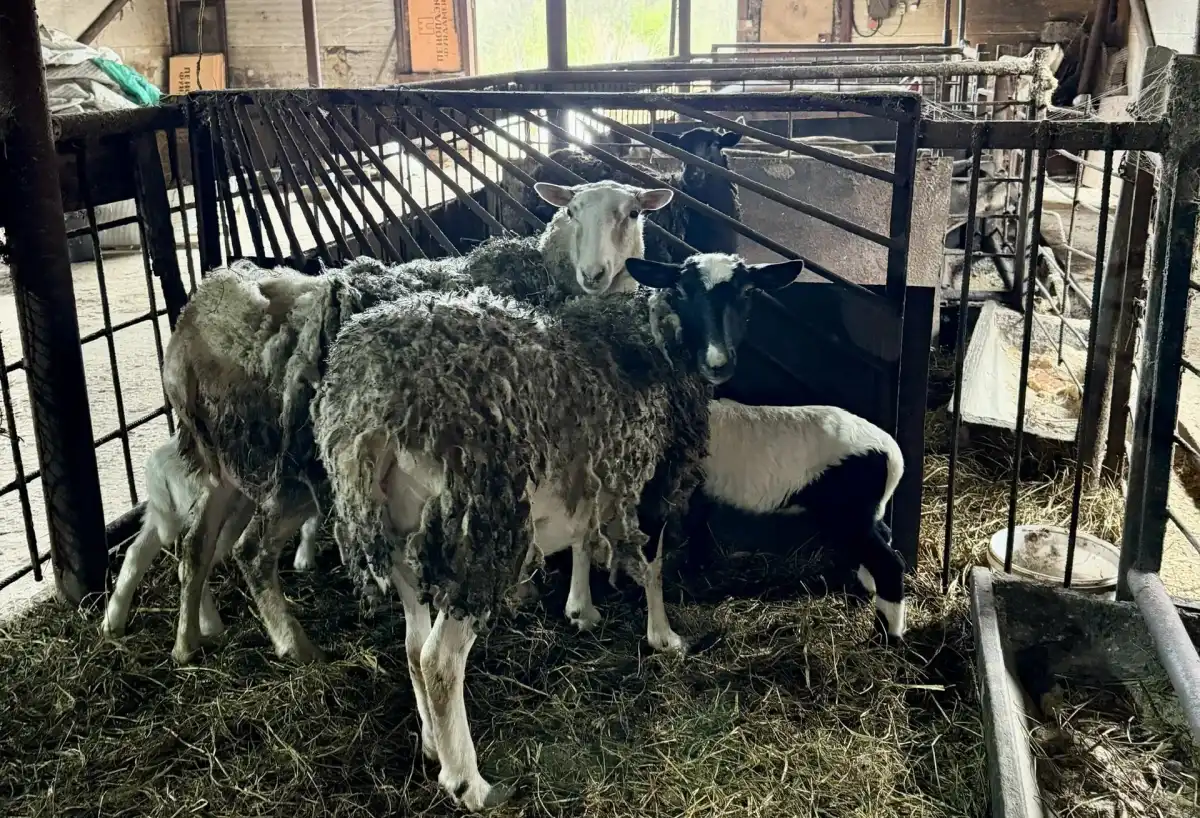 27.04-3.05.2026 Лента новостей