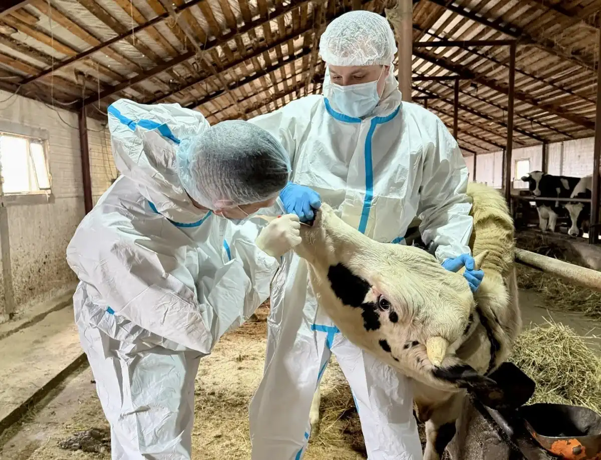 27.04-3.05.2026 Лента новостей