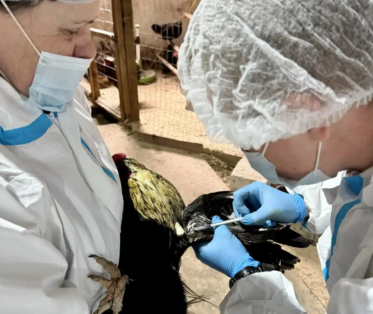 27.04-3.05.2026 Лента новостей