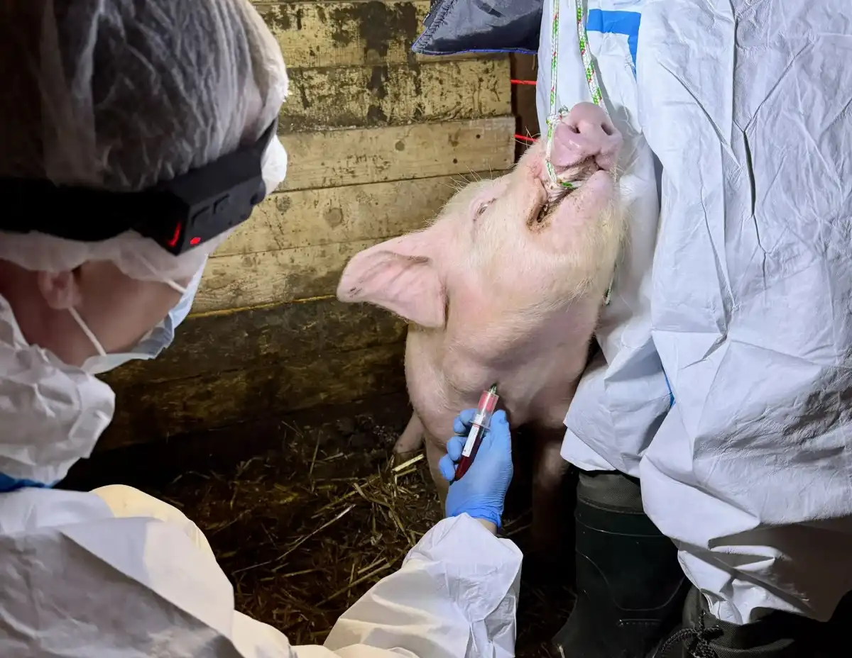 27.04-3.05.2026 Лента новостей