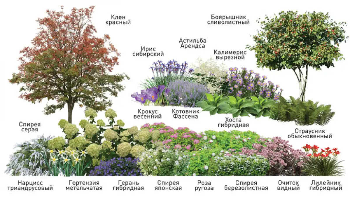 4-10.05.2026 Лента новостей
