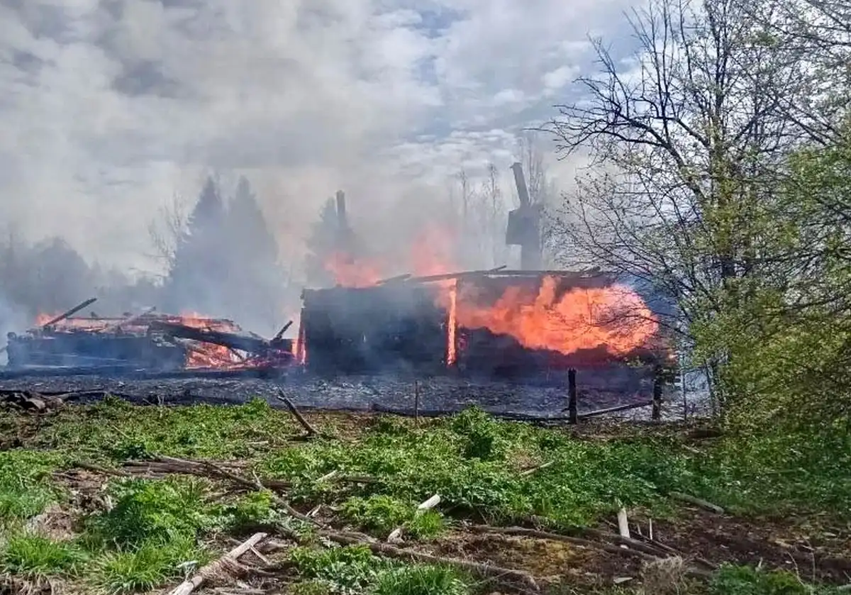 4-10.05.2026 Лента новостей