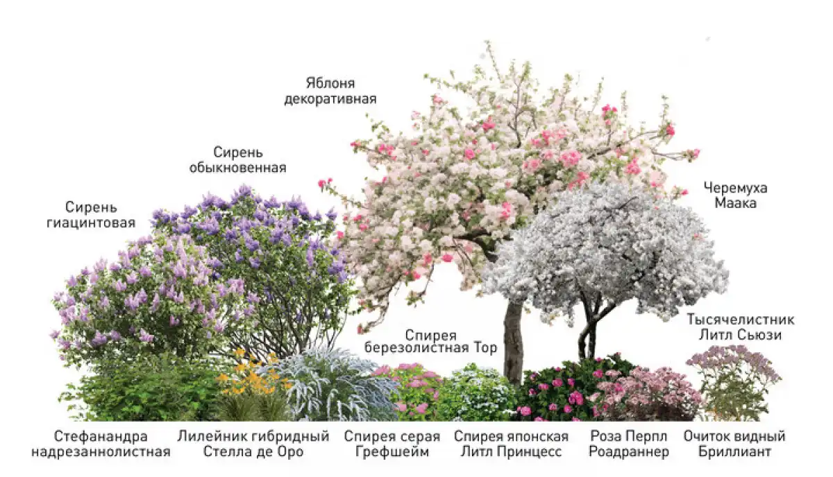 12-17.05.2026 Лента новостей