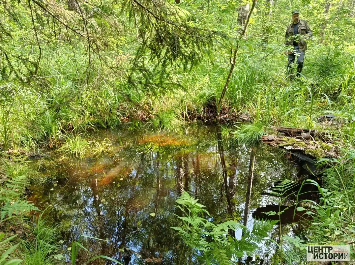 15-21.06.2026 Лента новостей