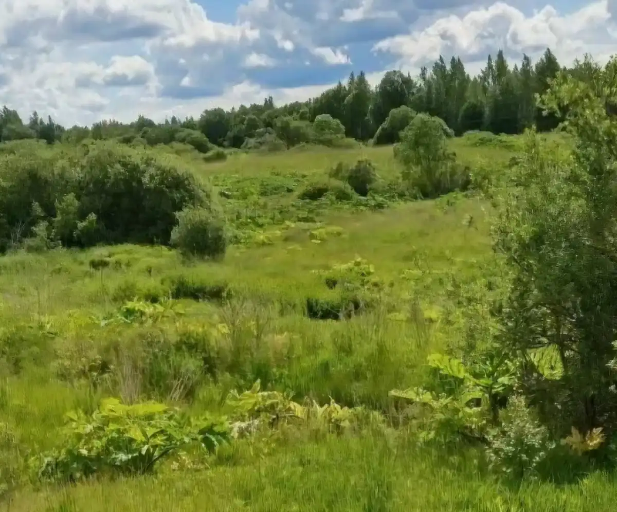 22-28.06.2026 Лента новостей