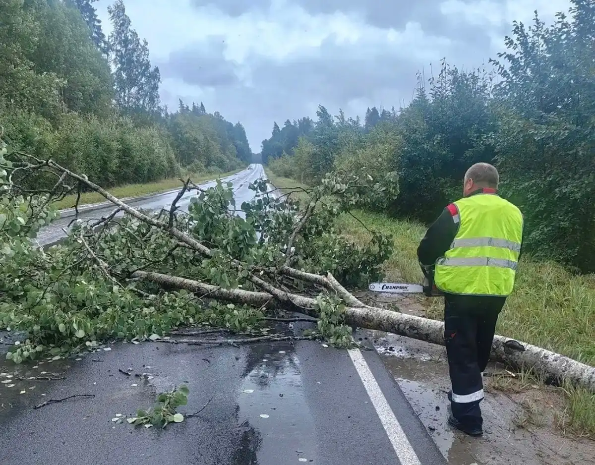 17-23.08.2026 Лента новостей