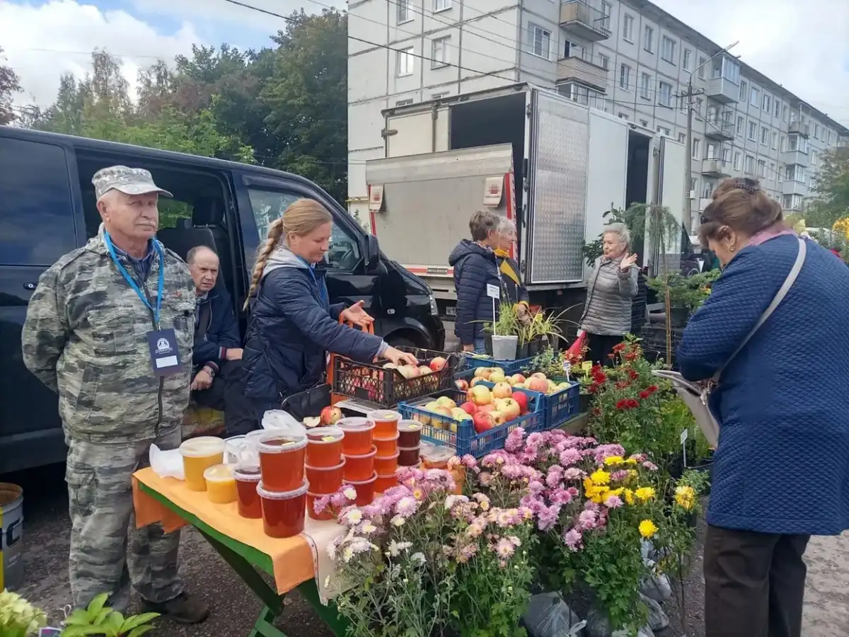 5-11.10.2026 Лента новостей