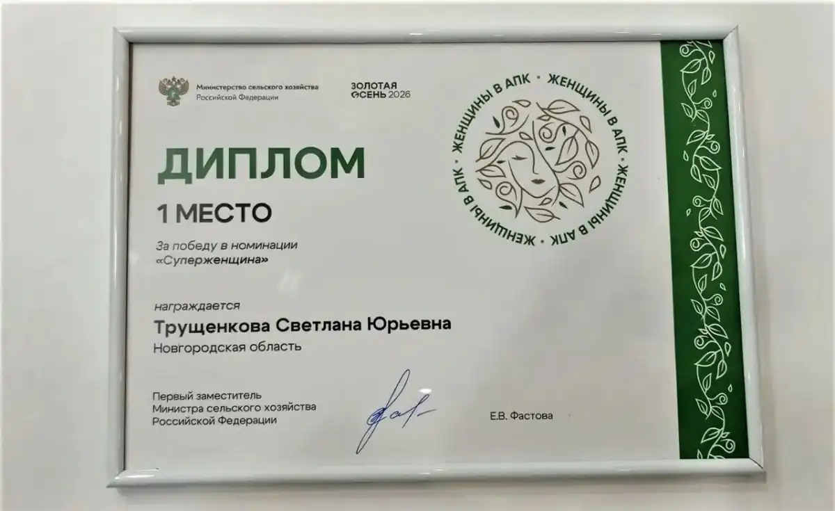 5-11.10.2026 Лента новостей